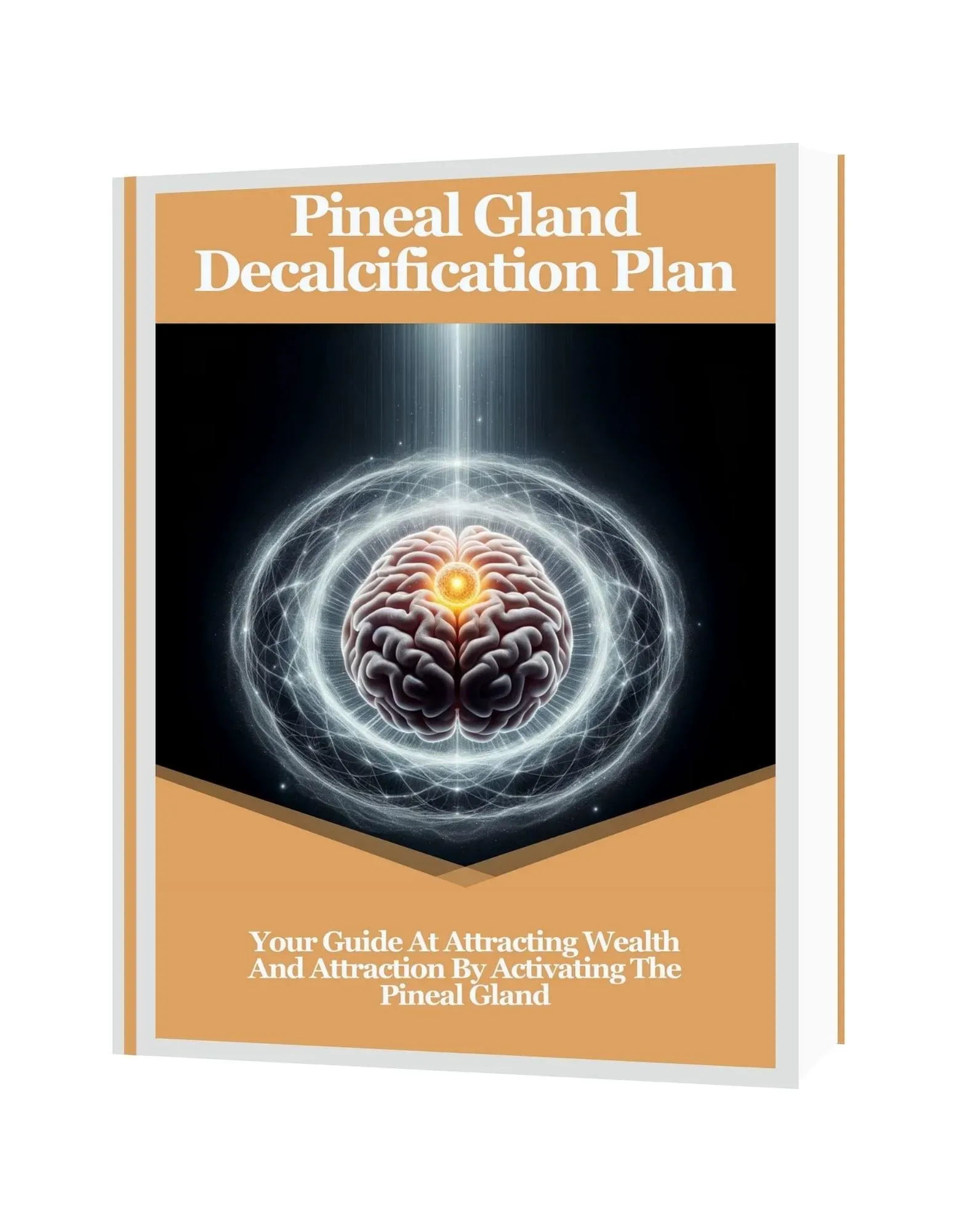 The Last Wish Pineal Gland Decalcification Plan bonus guide cover
